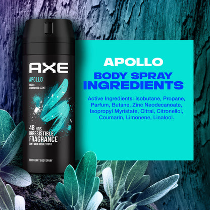 Axe Antiperspirant Deodorant Body Spray for Men